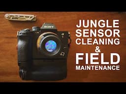 Sensor Cleaning & Care: Essential Gear and Workflow for Photography in the Wild