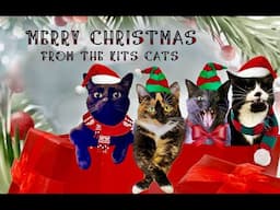 May Your Christmas Be Filled With Kits Cats