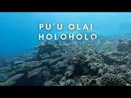 Holoholo Trip with Ali'i Nui | Scuba Diving at Pu'u Olai, Maui