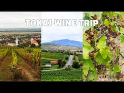 Tokaj Wine Tour: Europe’s Most Underrated Wine Region