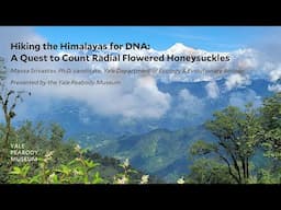 Hiking the Himalayas for DNA: A Quest to Count Radial Flowered Honeysuckles