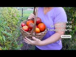 Grow Strong Tomato Starts for Your Garden. Tips & tricks for success.