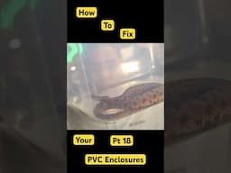 One Simple Trick to Fix the BIGGEST Problem with PVC Reptile Enclosures! Pt 18