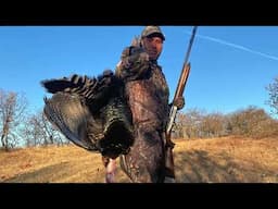 Goulds wild turkey hunting Mexico ! Caceria de Guajolote silvestre