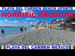 PLAYA  DEL CARMEN MEXICO BEACH AND SEAWEED UPDATE - HORRIFIC EROSION