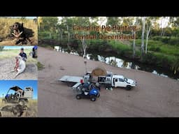 Camping Pig Hunting Central Queensland - 4 Good boars!