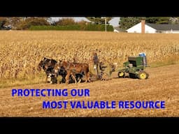 Cover Cropping with Horse Power and Engine in Lancaster County's AMISH LAND