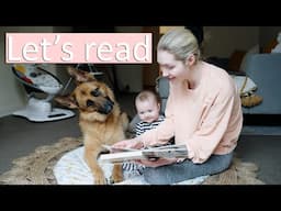 German Shepherd & baby read books together