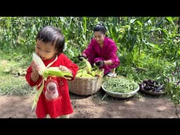 Cute chef Siv hour help to harvest vegetable for cooking - Family food cooking - Sreypov Life Show