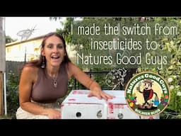 Beneficial Insects Surprise Unboxing #beneficialinsects