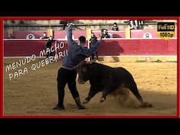 MENUDO MACHO PARA QUEBRAR! Tienta de ganado (22-12-24)