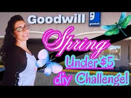 Goodwill challenge! DIY decor under $5