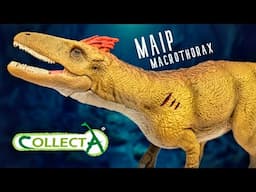 2025 Collecta Maip macrothorax Review!!!