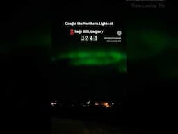 Caught Northern Lights in Calgary 🇨🇦#shorts #calgary #calgarylife #northernlights #canadavlogs