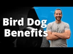 Bird Dog Benefits | What Muscles does the Bird Dog Train?