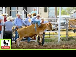 Calf Riding - 2024 White Deer Rodeo (Censored)