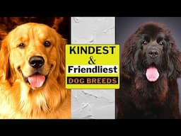 10 Kindest & Friendliest Dog Breeds