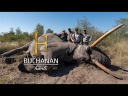 Season 1 - ep 13 - Giant Botswana Elephant