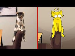 Cat Memes: Sprunki Incredibox Cats | Try Not To Laugh With These Funny Animals