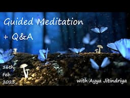 Guided Meditation + Q&A with Ayya Jitindriya ~ Sunday 16th February @ 7am AEDT