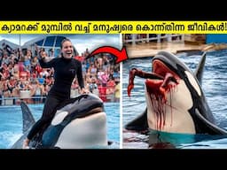 രാക്ഷസ ജീവികളുടെ മുമ്പിൽ വീണ മനുഷ്യർ!😱 Animal Encounters In Zoos Around The World - Storify