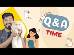 Essential Pet Health Tips from a Vet (Q&A) // اردو / हिंदी - Hope Pets Clinic