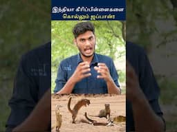 பாம்புகடி கீரிகளுக்கு மட்டும் ஒன்னு செய்யுறது இல்லையே - எப்படி? | Mongoose Vs Snakes