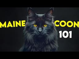 MAINE COON: 2024 Ultimate Guide (owners' answers)