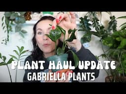 Gabriella Plants 9 month update! -- What lived and what.. died?