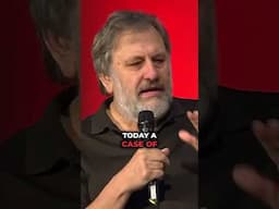 Slavoj Zizek on the Chinese economic miracle #shorts #zizek #china #capitalism #communism