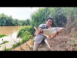 Vào Rừng Săn Tìm Thủy Quái Sông Bé Đụng Hàng Khủng Rung Hết Tay Chân /Hunting big fish in the forest