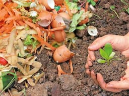 "City waste as compost for farmers" - ನಗರ ತ್ಯಾಜ್ಯದಿಂದ ಗೊಬ್ಬರ ತಯಾರಿಕೆ.