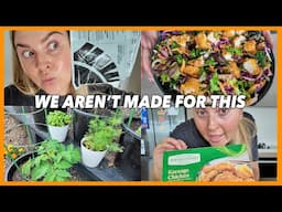 conspiracy theories & my salad recipe 👽 vlog 746