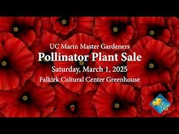 UC Marin Master Gardeners Pollinator Plant Sale 2025