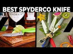 Best Spyderco Knife - Complete Round-Up!