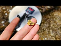 Australian Gold Nugget Metal Detecting | Awesome 10 Gram Found In Trashy Area.