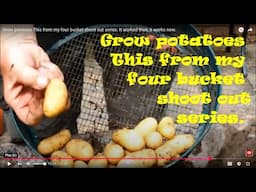 Grow potatoes This from my four bucket shoot out series. It worked then, it still works today.