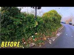 NATURE Consumes Pedestrian Crossing Let’s Clean It Up