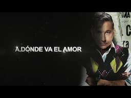 Ricardo Montaner  - A dónde va el amor - Lyric Video