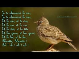 Apprenez le Français avec les Paroles : Alouette, gentille alouette - (Learn Birds body parts).