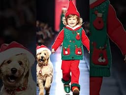 Puppies Christmas fashion show  #puppy #cute #fashionshow #fashiontrends