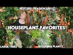 ✨🌿🔥Top 10 Favorite Plants of 2024🔥🌿✨