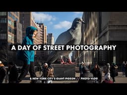 New York City's Giant Pigeon // A Day of Street Photography in NYC VLOG //  Canon T7i