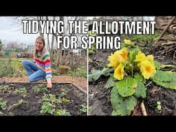 TIDYING THE ALLOTMENT FOR SPRING / ALLOTMENT GARDENING UK