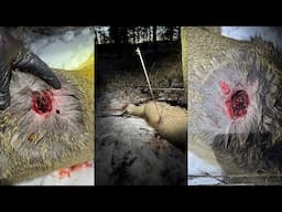 Sevr Hybrid vs. Ironwill S-125: Real World Broadhead Testing