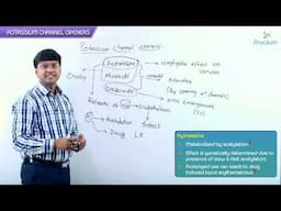 11. Vasodilators: Potassium Channel Openers: Anti- Hypertensive Drugs: CVS Pharmacology