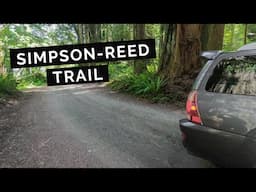 Simpson Reed Discover Trail off Walker Road - Jedediah Smith Redwoods State Park