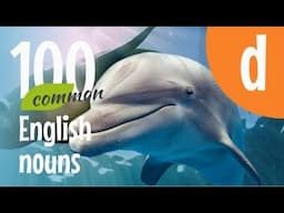 100 ENGLISH Nouns - Some of the Most Common Words in English that Begin with the Letter 'D'