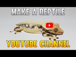 Why You Need A YouTube Channel If You Breed Reptiles 1/2