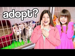 We Visit an Animal Shelter! *emotional* | Fizz Sisters